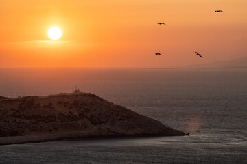 Golden sunset over coastal landscape and birds flying