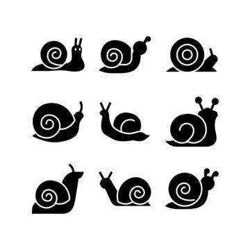 snail icon or logo isolated sign symbol vector illustration - high quality black style vector icons
