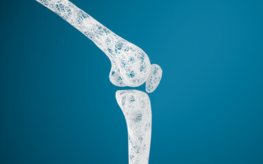 Leg bones and knees, 3d rendering.