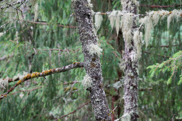 Iseltrail Hochgebirgs-Etappe: Wanderung zur Clarah&uuml;tte von Pr&auml;graten