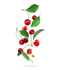 Ripe cherries with green leaves in the air isolated on white background