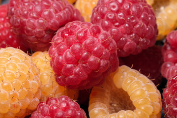 Yellow and red ripe sweet raspberry