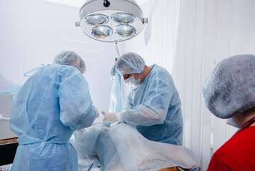 In a modern veterinary clinic, an operation is performed to save the life of a large dog. Surgery and medicine