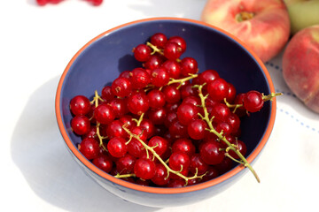 Red currant in a blue bowl. Close up photo of seasonal berries. Eating fresh concept. 