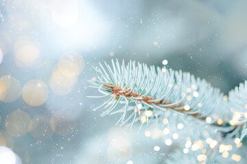 Close up photo of blue Christmas tree background outdoor with lights bokeh around. Christmas atmosphere
