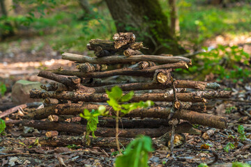 Pile of stacked firewood in the forest