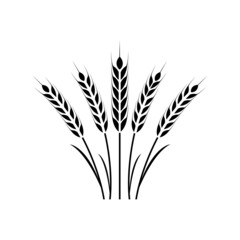 Wheat ears icon, grain logo isolated on a white background