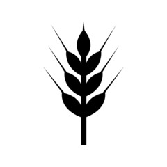 Wheat ears icon, grain logo isolated on a white background