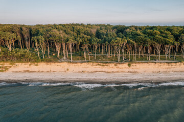 Gespensterwald in Rostock Nienhagen
