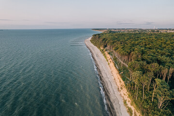 Gespensterwald in Rostock Nienhagen
