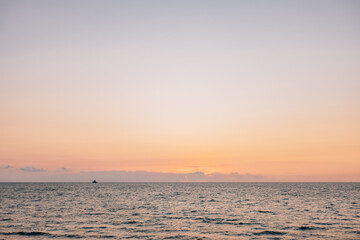 Gespensterwald in Rostock Nienhagen
