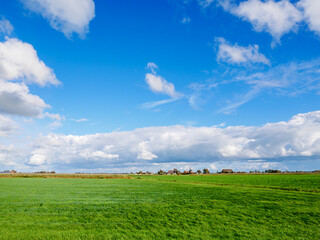Panorama of polder with pasture, farmhouses and church of Cornjum, Friesland, Netherlands