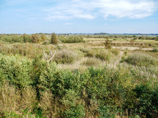 View of National Park Alde Feanen in Friesland, Netherlands