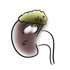 Dead adrenal gland on the kidney