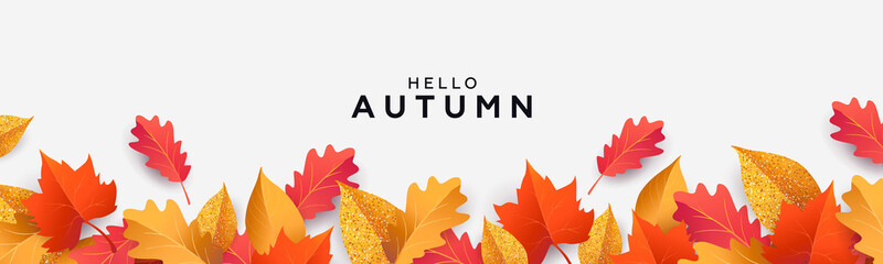 Autumn seasonal background with border made of falling autumn golden, red and orange colored leaves isolated on white background with place for text. Hello autumn vector illustration - obrazy, fototapety, plakaty