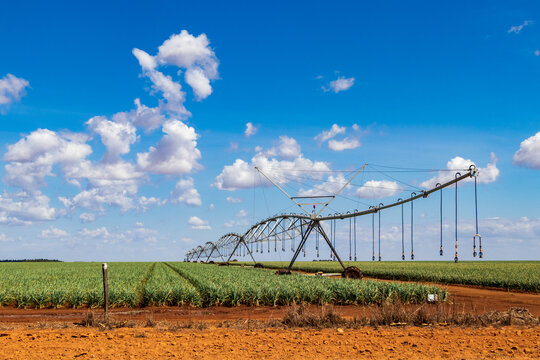 Piv&ocirc; de irriga&ccedil;&atilde;o em uma planta&ccedil;&atilde;o.