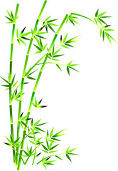 simple vector green bamboo. Flat line design. Set of elegant floral elements for graphic and web design. Decorative vintage line elements collection. Vector illustration