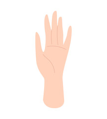 Fototapeta premium Woman's hand. Human hands, palms, body part. Vector illustration in flat style isolated on white background.