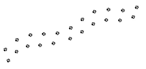 Paw vector foot trail print of dog. Dog, puppy silhouette animal diagonal tracks for t-shirts, backgrounds, patterns, websites, showcases design, greeting cards, child prints.