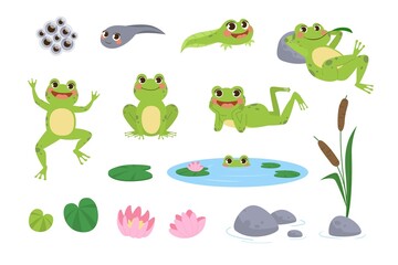 Happy cartoon frogs vector illustrations set. Drawings of cute green amphibian resting, jumping, tadpole, toad eggs, lotus flower and leaves isolated on white background. Nature, animals concept