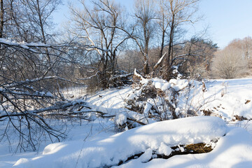 a narrow river in the forest in winter