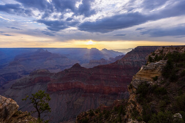 Fototapeta na wymiar Grand Canyon Sunrise Yellow Glow