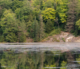 Forest on a rocky riverbank reflected in still water in Haliburton Ontario