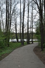 Spring park landscape. View of the asphalted alley of the park, the bridge, about the lake.
