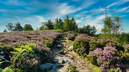 Fototapeta na wymiar Trial path on top of Wharncliffe Crags. 