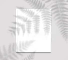 White Vertical Poster mockup hanging on Grey Wall With soft Tropical Plant Shadow. White Frame Empty Blank.  neutral light Gray background 