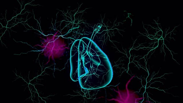 amazing medical lungs holographic animation in black background