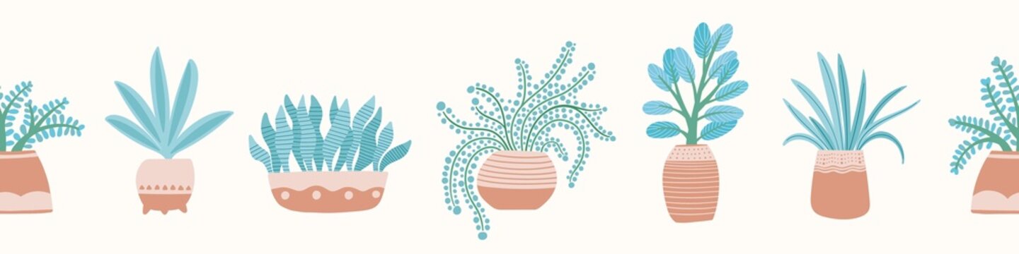 Houseplants background border pattern. Vector seamless repeat of succulent indoor plants in pots. Design resource banner illustration.