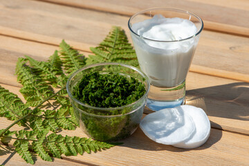 Wood Fern leaves and yogurt for healing cream.