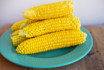 Boiled corn cobs lie on a green plate. Delicious and juicy corn.
