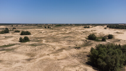 Yellow sand dunes in the desert with bushes and trees. Biggest desert in Europe Oleshkovsky sands, Kherson region, Ukraine