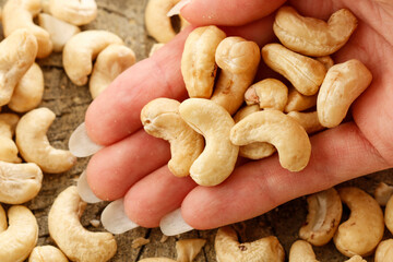 The cashew tree (Anacardium occidentale)  nuts.