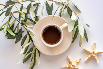 Coffee break concept with coffee cup, sprig of olive tree, starfishes on white background.