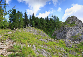Fototapeta na wymiar Mountain landscape in summer. View from Nosal in Bieszczady National Park, Poland