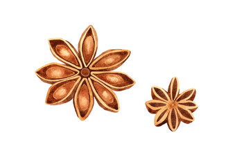 Watercolor set with anise stars illustration. Hand drawn spice isolated on white background.