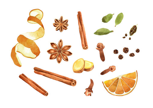 Watercolor Mulled wine ingredients illustration. Hand drawn cinnamon, anise, ginger, cloves, black pepper, kardamon and orange isolated on white background. Spices raw material for cooking and baking.