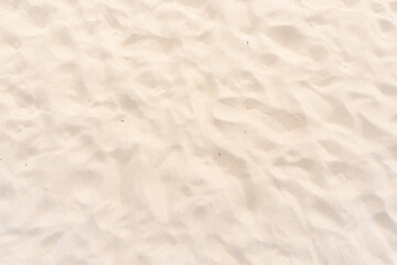 Sand texture background. Top view