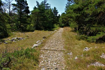 voie romaine sur le plateau de Caussols