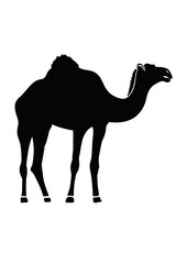 silhouette animal icon, camel with white background