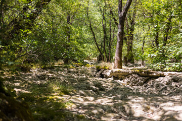 Cours de la rivière de la Buèges, complètement asséché en été (Occitanie, France)