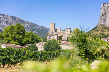 Fototapeta na wymiar Vue sur le village de Saint-Jean-de-Buèges et son château depuis les vignobles (Occitanie, France)