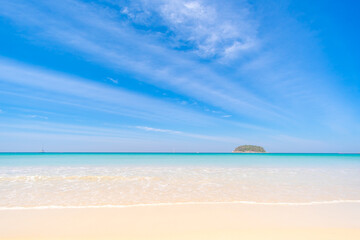 beach with trees