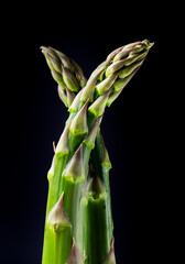 Jiant asparagus isolated on black - 450372809