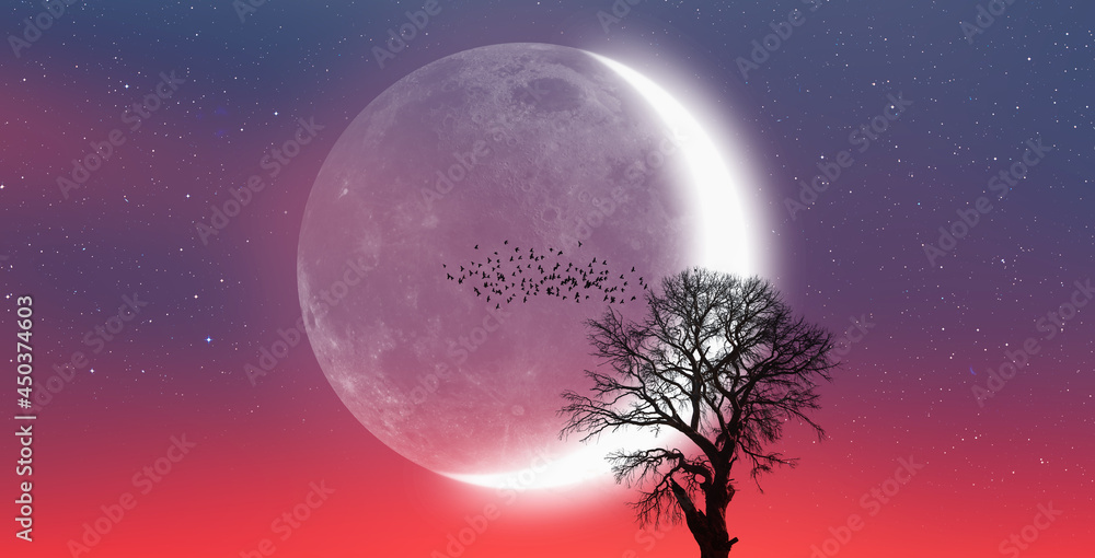 Poster silhouette of birds with lone tree in the background big crescent moon at amazing sunset 