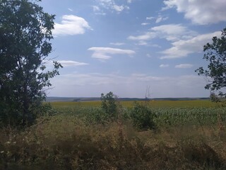 person riding a bike