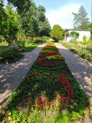 path in the garden